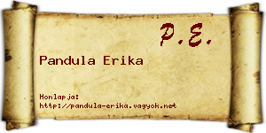 Pandula Erika névjegykártya